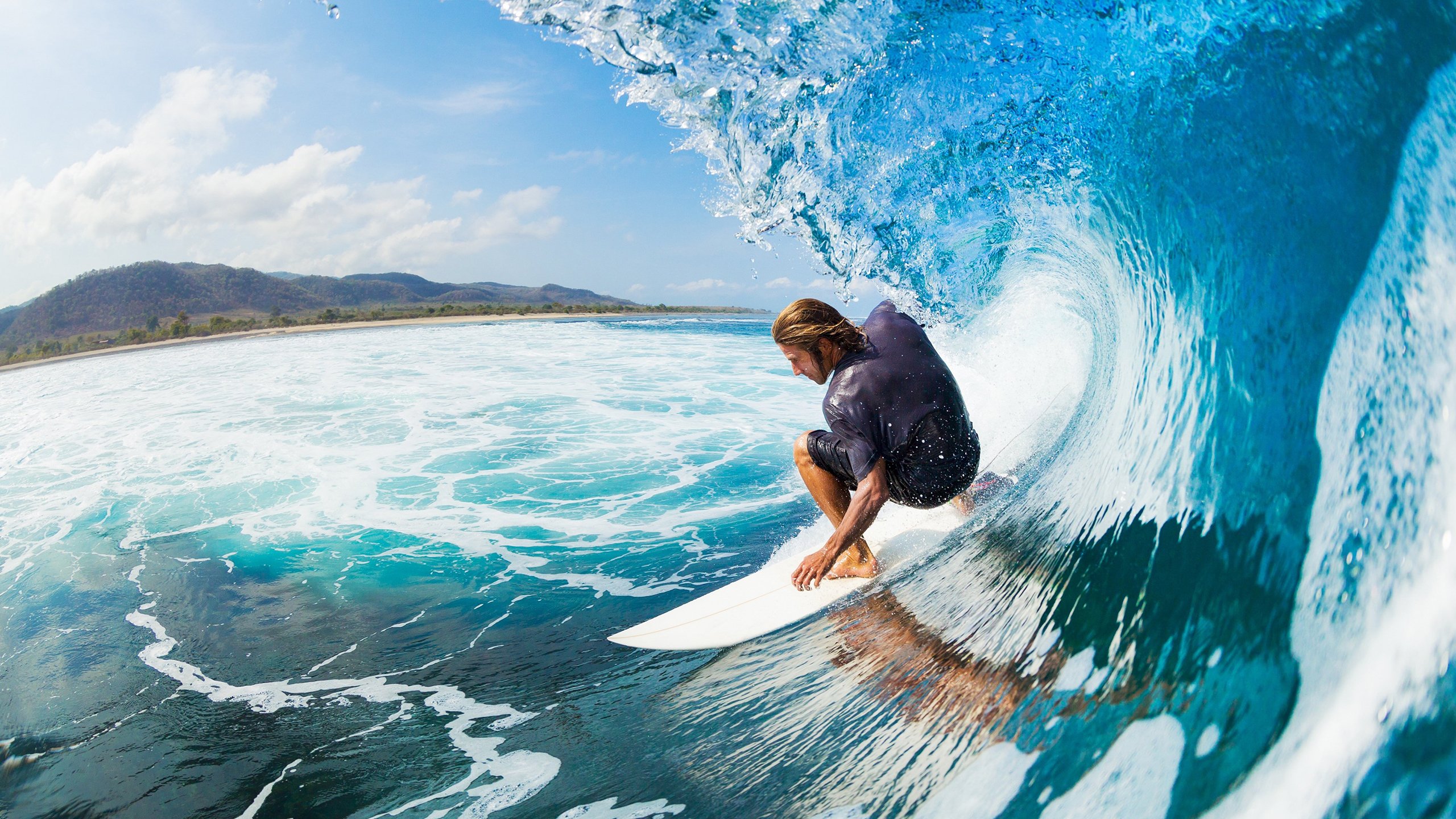 蝶泳名将再创佳绩,国际泳联世锦赛上演飞鱼对决